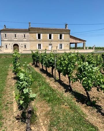 Gite Du Chateau La Rose Des Vents Villa Puisseguin Esterno foto