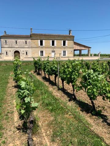 Gite Du Chateau La Rose Des Vents Villa Puisseguin Esterno foto